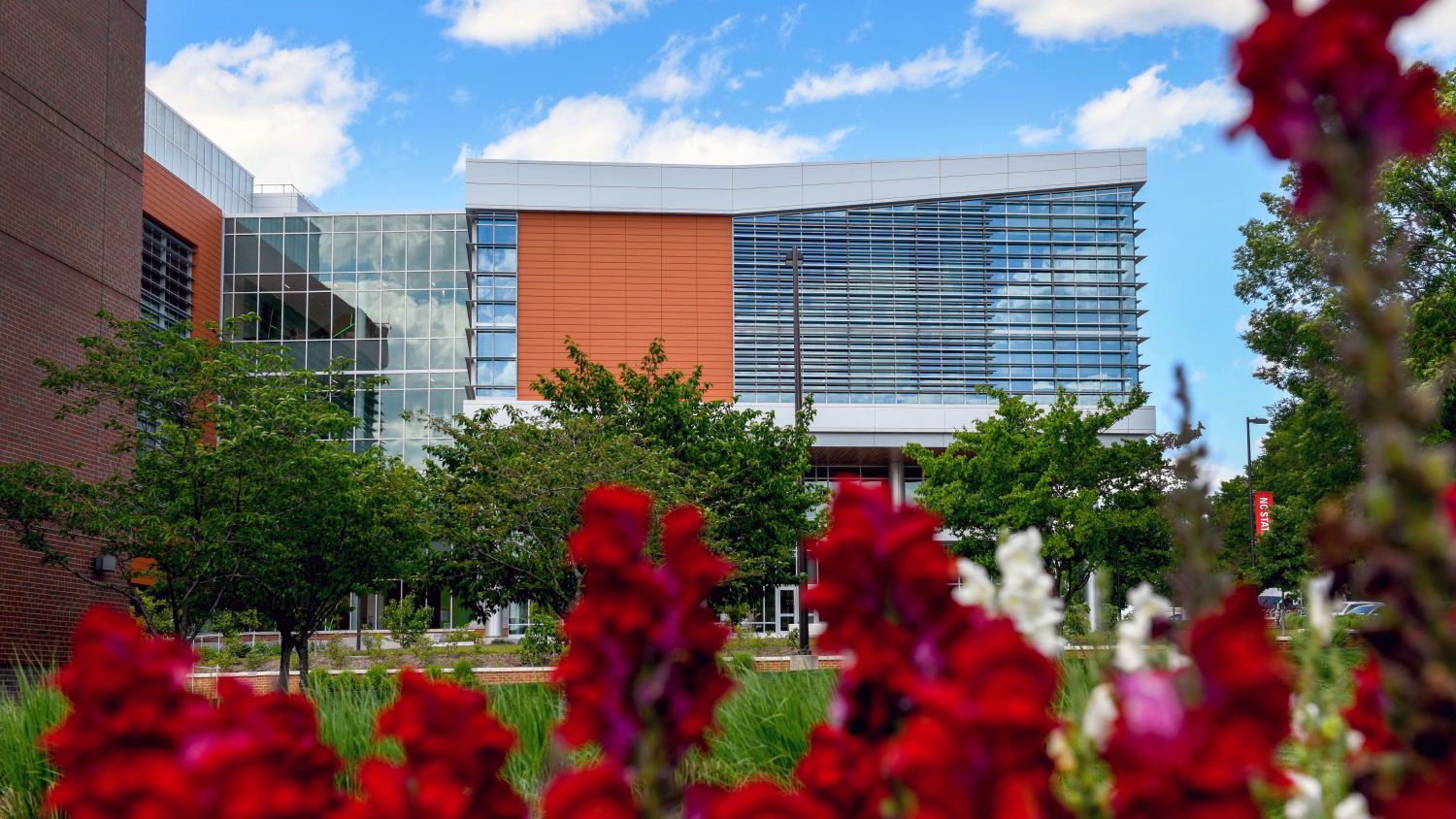 The Plant Sciences Initiative Building surrounded by spring flowers.